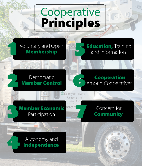 7 Cooperative Principles